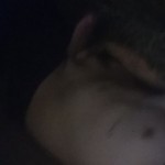 Alien R King