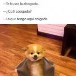 PirataSexJL