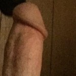LowProGinger