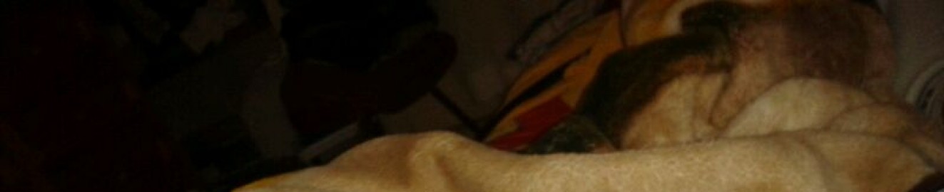 Wambo_131