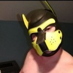 Pup Scrappy