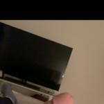 dogblue22