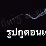 oneboy1