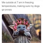 Mamma Lamma