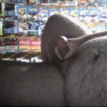 Artluvr76-ph