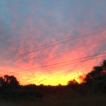 reginald_22