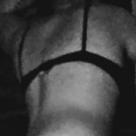VioletHarness