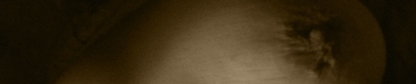 VioletHarness
