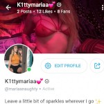 K1nkykitacat
