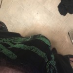 Shinndaddy20