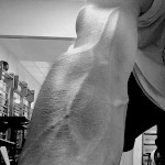 Stevie Veins