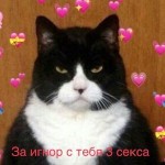 gneg1234
