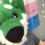 HuskyHuskyHarlot