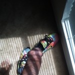Nemocarr38