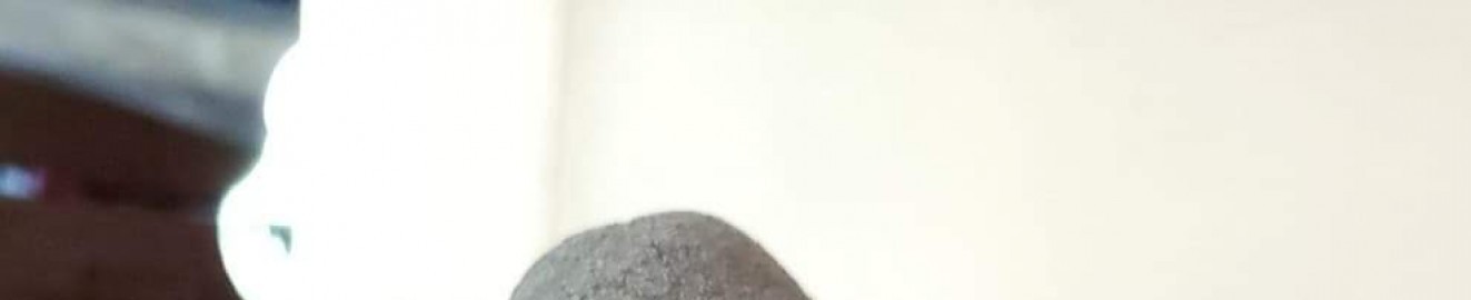 blkdick17603