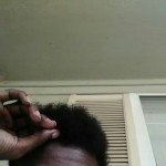 Blk1002