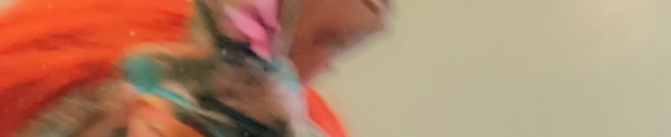 Mrszjohnson
