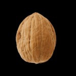 MrNutBruv-ph