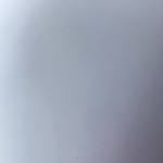 Ednaleex
