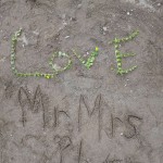 Mr Mrs Silver