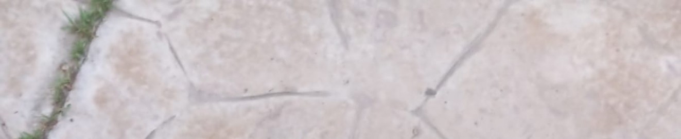 Feetissweet