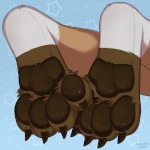 SoftSolesBay