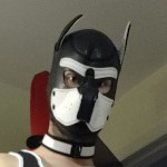 PlaxtonPup