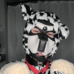 SluttyPuppyDoll