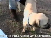 Ask Asa - Screenshot 15 of 16 - Public