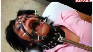 one day blowjob-bitch!