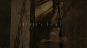 The Slave Injected with a Bushy Tail