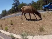 Rush and Lia Make a Porno FULL Young Lovers 1/16