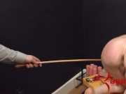 Calico turned into anal pig for rough painal, ATM, & caning in bondage (p2) 15/16