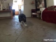 Capri Cavanni Behind The Scenes