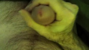 My morning boner