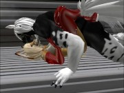 Vixen and her SL brother Stallion =^.^= 8/16