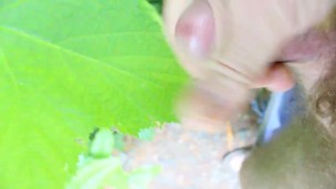 Guy jacking of and cums on a leaf outdoors