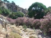 Me in a canyon get the best time:)