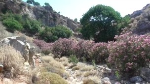 Me in a canyon get the best time:)