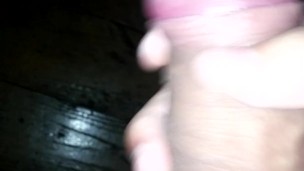Handjob (Punheta)