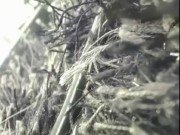 Dayaanna 07-05-2015 16/16