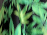 Cannabis Ivy Caught Smoking and Steals a Quickie 13/16