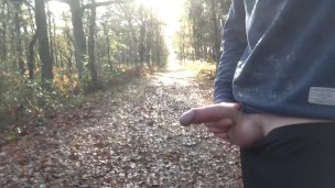 Public boner, public pissing, public flashing - Exhibitionist gay boy