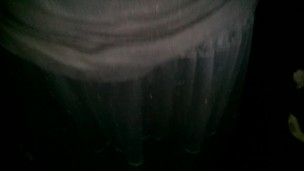New panties