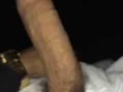 Dick Vid