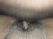 Creamie Cream Pie 2 12/16