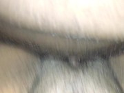 Creamie Cream Pie 2 4/16