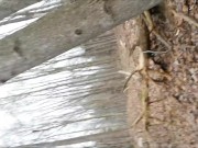 Friends fucking in the woods blowjob and doggystyle the ending is priceless 5/16