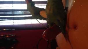 Dominatrix makes me cum (Hitachi magic wand torture)