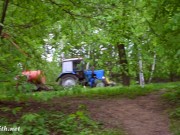 Jeny Smith - apple trees - Screenshot 7 of 16 - Tight